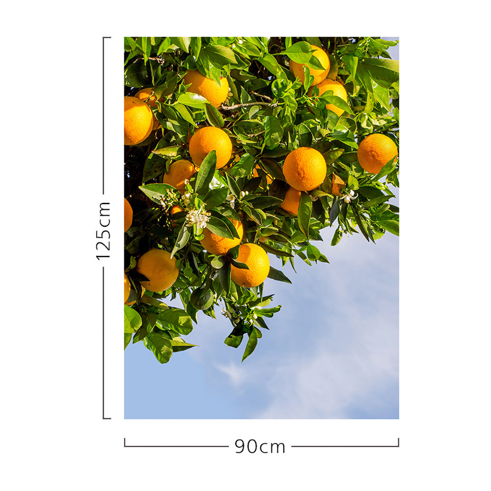 シフォンカーテン オレンジツリー 90x125cm